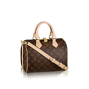 [스페셜오더]LOUIS VUITTON-M52249 루이비통 다미에 트롱프뢰유 디테일 스피디 25