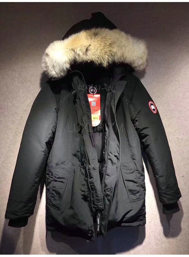 canada goose1-1021-5.jpg