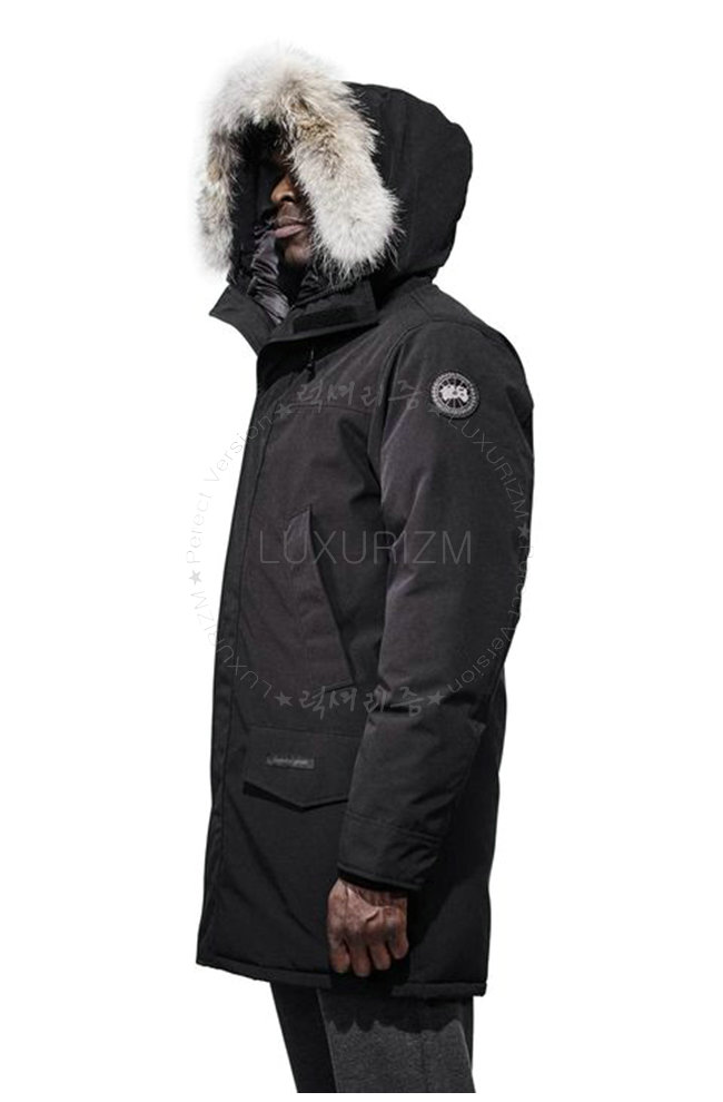 canada goose5-1021-3.jpg