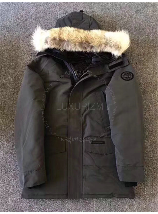 canada goose5-1021-5.jpg