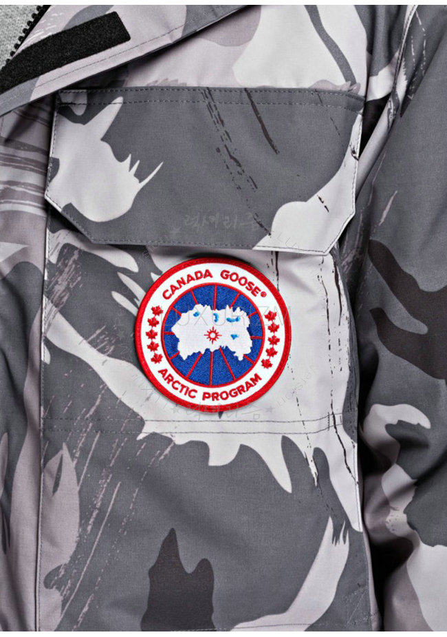 canada goose12-1103-4.jpg