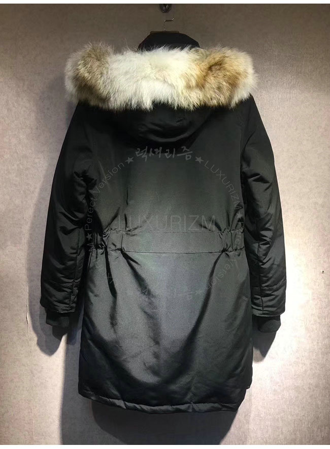 canada goose14-1103-5.jpg