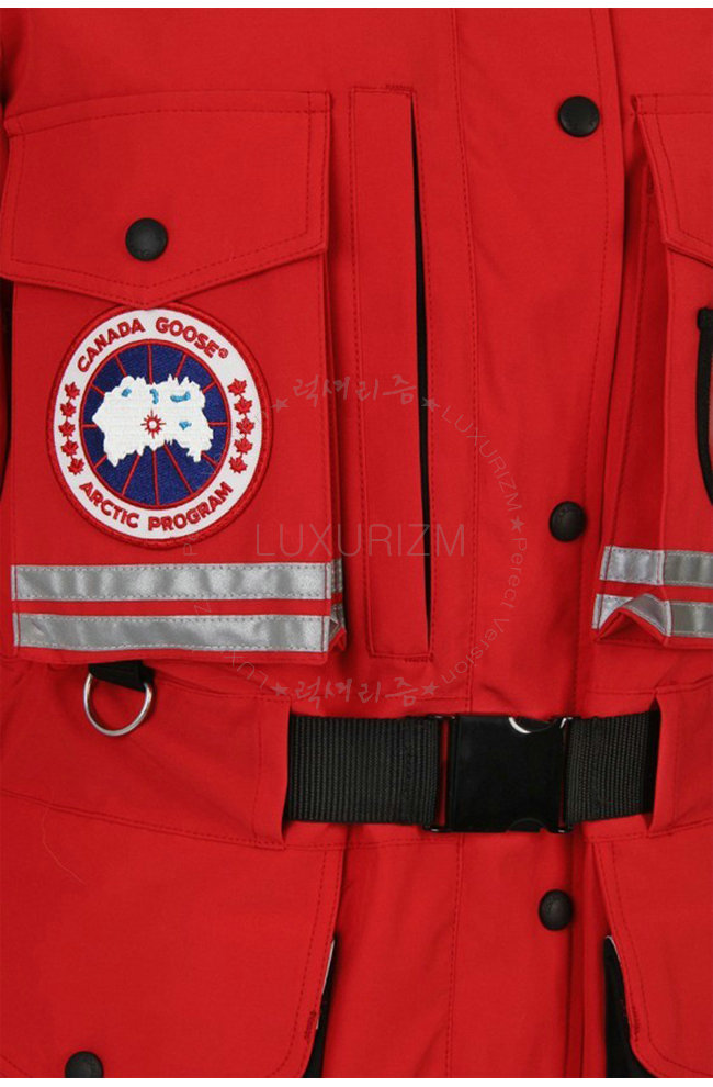 canada goose5-1103-5.jpg