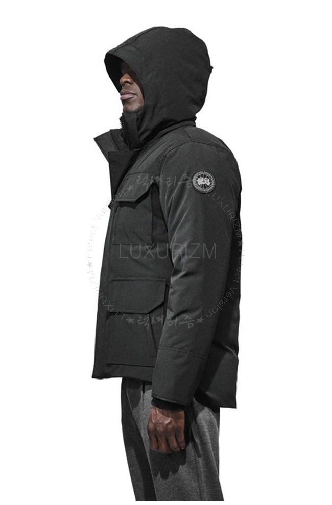 canada goose7-1103-2.jpg