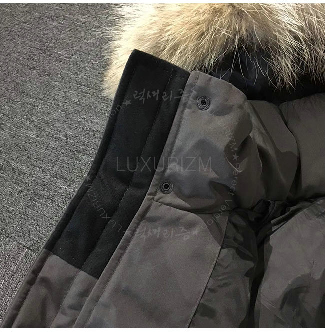 canada goose2-1108-6.jpg