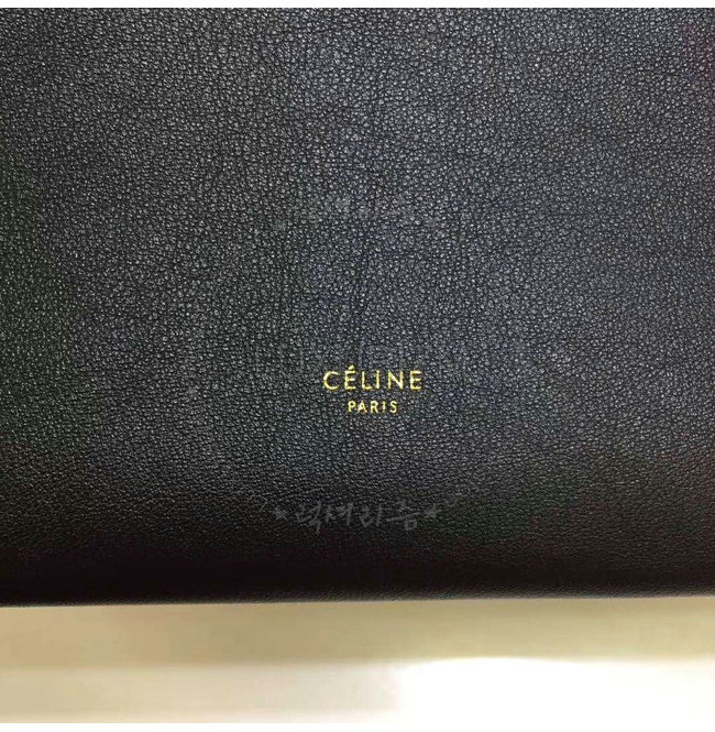 celine2-1205-004.jpg