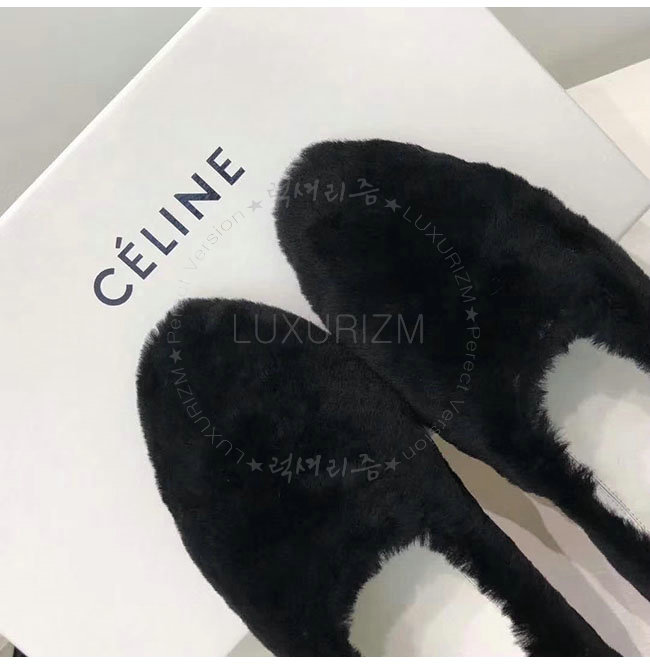 celine1-1218-8.jpg